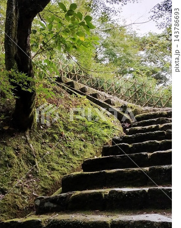 熊本県人吉城跡の苔むした石段と緑豊かな木々 143786693