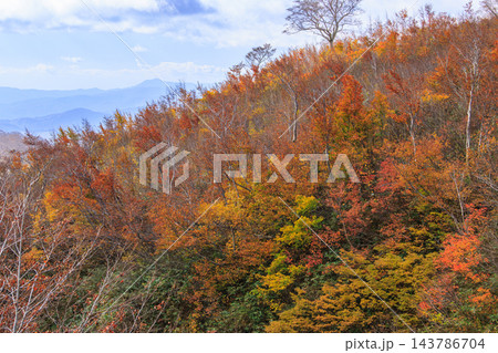 月山の紅葉 月山の紅葉 143786704