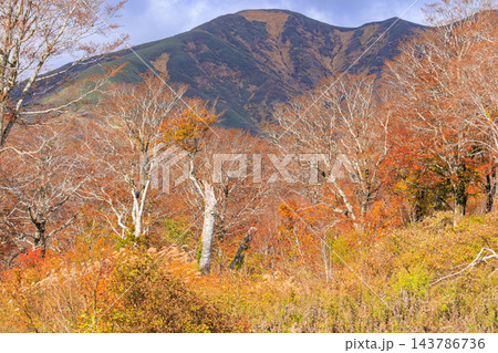 月山の紅葉 143786736
