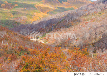 月山の紅葉 143786737