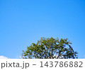 青空と緑樹 青空と緑樹 143786882