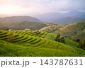 Green Terraced Rice Fields at Sunset in Pa Bong Piang 143787631