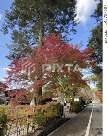 秋の角館武家屋敷通りと鮮やかな紅葉 秋の角館武家屋敷通りと鮮やかな紅葉 143787687