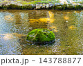 上賀茂神社 御祭神の賀茂別雷大神のご利益:厄除け,方除け,受難除け,開運,必勝 上賀茂神社 御祭神の賀茂別雷大神のご利益:厄除け,方除け,受難除け,開運,必勝 143788877