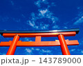 上賀茂神社 御祭神の賀茂別雷大神のご利益:厄除け,方除け,受難除け,開運,必勝 上賀茂神社 御祭神の賀茂別雷大神のご利益:厄除け,方除け,受難除け,開運,必勝 143789000