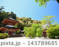 天野山金剛寺(多宝塔)　【大阪府河内長野市】 143789685