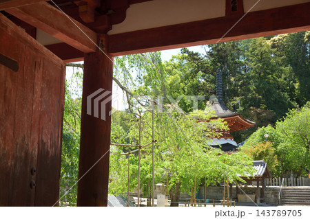 天野山金剛寺(多宝塔) 【大阪府河内長野市】 天野山金剛寺(多宝塔) 【大阪府河内長野市】 143789705