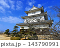 【香川県】冬の丸亀城（現存天守と石垣の名城） 143790991