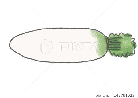 手描きの大根のイラスト 手描きの大根のイラスト 143791025