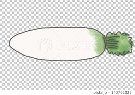 手描きの大根のイラスト 手描きの大根のイラスト 143791025