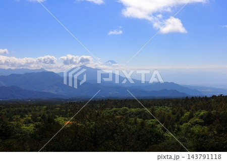 清里高原 美し森から望む富士山 143791118