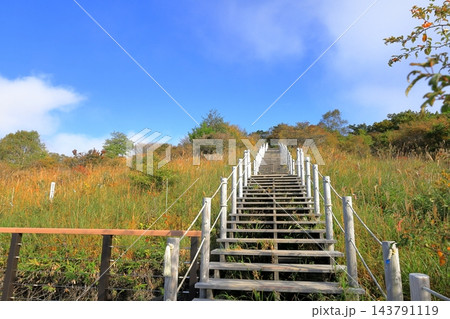 清里高原 美し森/山梨県 北杜市 清里高原 美し森/山梨県 北杜市 143791119