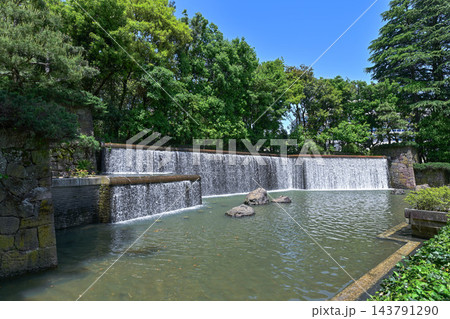 いしかわ四高記念公園の春 いしかわ四高記念公園の春 143791290