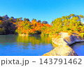 快晴の青空と紅葉した木々 143791462