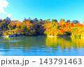 鮮やかな紅葉の木々と青い海と空 143791463