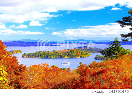 紅葉の西行戻しの松公園から松島湾を眺望する 143791470