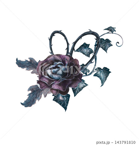 Gothic bouquet with dark roses, ivy and thorns hand drawn watercolor illustration. Mystical element for victorian tarot card decks, grimoire covers, witch craft decor, poison garden, fantasy art. Gothic bouquet with dark roses, ivy and thorns hand drawn watercolor illustration. Mystical element for victorian tarot card decks, grimoire covers, witch craft decor, poison garden, fantasy art. 143791810