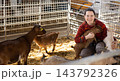 Cheerful woman playing with goatlings in petting zoo stall 143792326