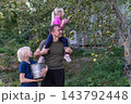 Father lifts daughter on his shoulders to pick ripe green apples from a tree while son stands nearby holding a metal bucket during a sunny family harvest in an orchard 143792448