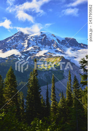 Mount Rainier Sunrise Region Snow Capped Peak and Evergreen Forest in Washington Mount Rainier Sunrise Region Snow Capped Peak and Evergreen Forest in Washington 143793662