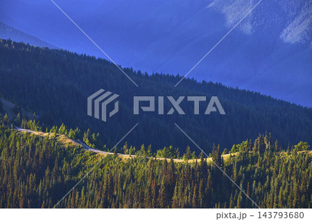 Mountain Trail Winding Through Dense Evergreen Forest At Sunset 143793680