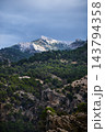 Mountain landscape with pine forest and rocky cliffs under moody sky 143794358