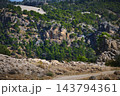 Rocky mountain cliff and pine forest landscape with dirt road in summer 143794361