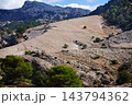 Rocky hillside landscape with scattered pine trees and distant mountain ridge 143794362