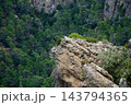 Rocky cliff overlooking dense pine forest in a rugged mountain landscape 143794365