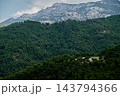 Dense pine forest on mountain slope with distant rocky peaks 143794366