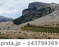 Mountain cliff and dry plateau with scattered trees and olive grove under cloudy sky 143794369