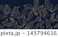 Coffee bean vector pattern, plant and leaf, seeds illustration, line style. Gold on dark luxury line background. Sketch background, cafe branding, packaging. 143794616