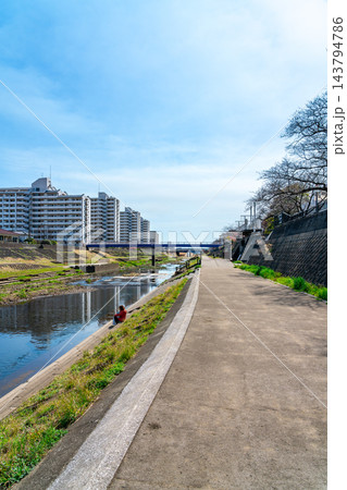 【神奈川県】青空が広がる戸塚駅周辺を流れる柏尾川 【神奈川県】青空が広がる戸塚駅周辺を流れる柏尾川 143794786