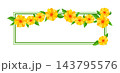 Flower frame with daisy. Border with beautiful decorative summer flowers. 143795576