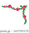 Flower garland with peony. Decor with beautiful decorative summer flowers. 143795579