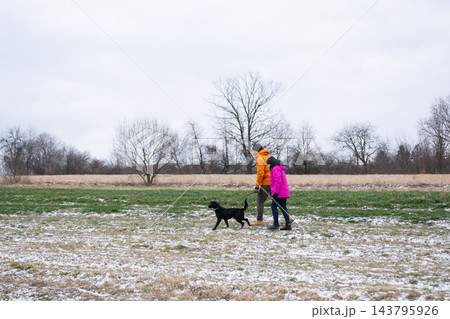 Strolling through a winter landscape with a black dog while wearing colorful outerwear under a gray cloudy sky Strolling through a winter landscape with a black dog while wearing colorful outerwear under a gray cloudy sky 143795926