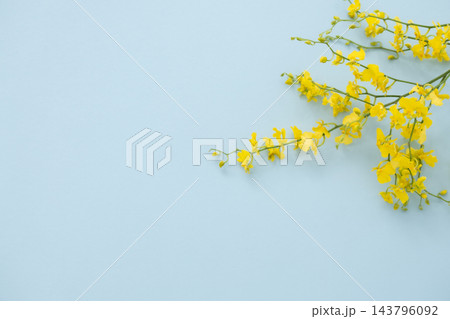 花 フレーム 背景素材 花 フレーム 背景素材 143796092