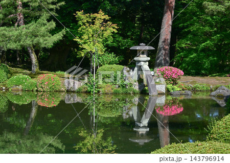 ツツジが咲く美しい新緑の兼六園 ツツジが咲く美しい新緑の兼六園 143796914