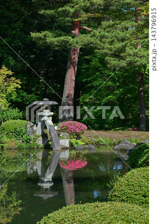 ツツジが咲く美しい新緑の兼六園 ツツジが咲く美しい新緑の兼六園 143796915