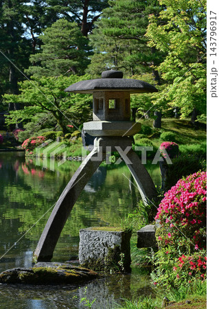 ツツジが咲く美しい新緑の兼六園 ツツジが咲く美しい新緑の兼六園 143796917