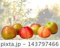 Gardening harvest.Ripe useful apples on flowering fruit trees backdrop 143797466