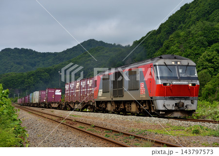 室蘭本線を走るDF200-102コンテナ貨物列車 室蘭本線を走るDF200-102コンテナ貨物列車 143797573