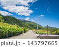 比良山麓を通る国道161号線沿いの側道　滋賀県大津市 143797665