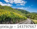 比良山麓を通る国道161号線沿いの側道　滋賀県大津市 143797667