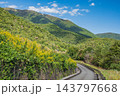比良山麓を通る国道161号線沿いの側道　滋賀県大津市 143797668