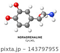 Noradrenaline molecular structure 3d representation. Vector Illustration 143797955