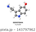 Serotonin molecular structure 3d representation. Vector Illustration 143797962