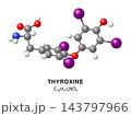 Thyroxine molecular structure 3d representation. Vector Illustration 143797966