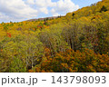 秋深まる北海道の紅葉の中、十月北海道ドライブ、メイプル街道を抜けて赤井川の国道を紅葉望む秋の空 143798093