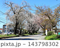 さくら名所 日光街道桜並木／栃木県宇都宮市 143798302